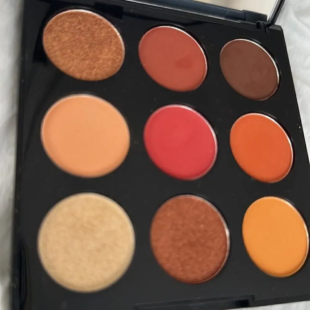 Artistry palette by Morphe “Painted Desert” exquisite colors on neutrals